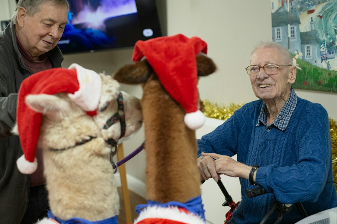 seniors enjoying community event